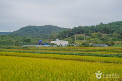 월선체험 휴양마을