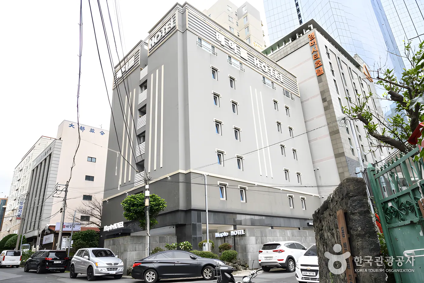 제주 메이플호텔