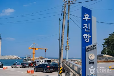 후진항