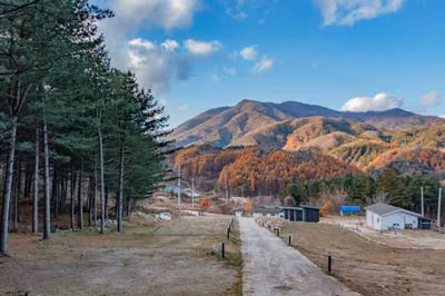 모짜르트
