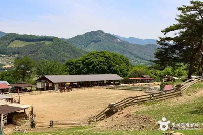 해피초원목장