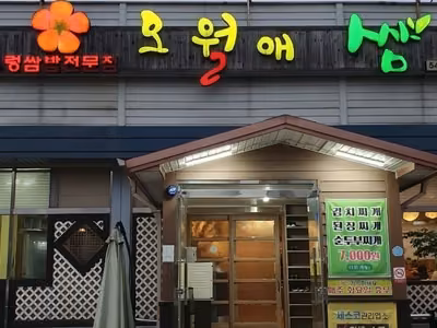 오월애쌈