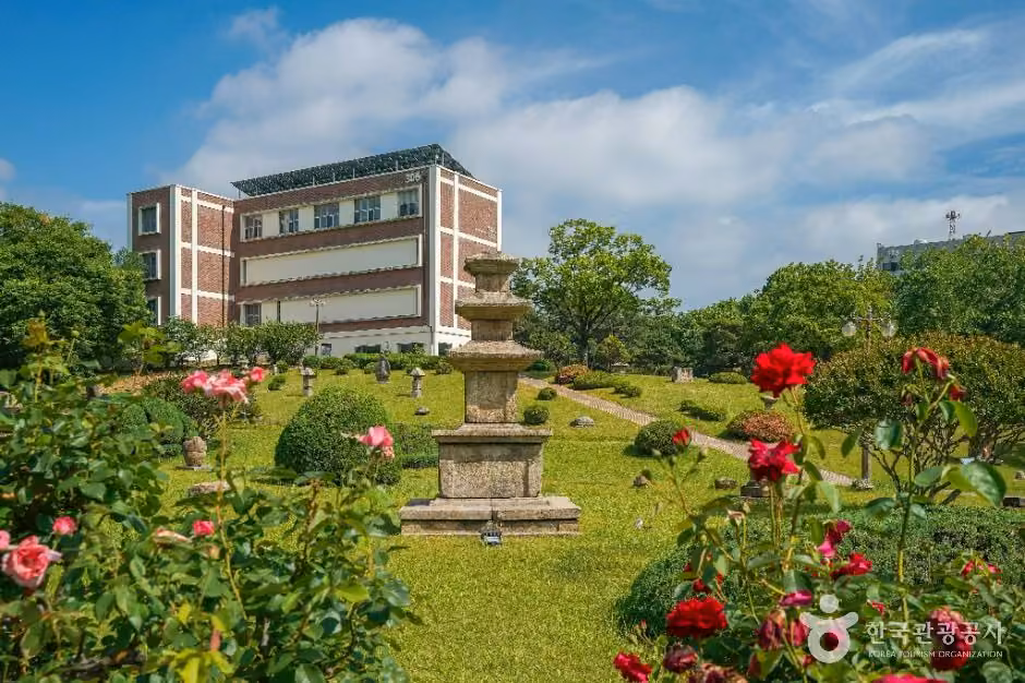 경북대학교박물관