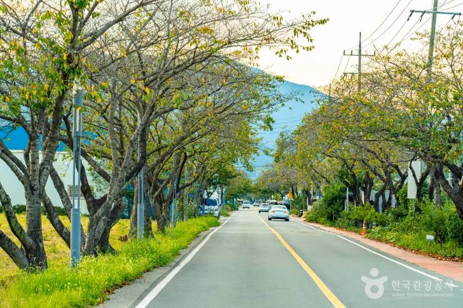 하동명품배거리