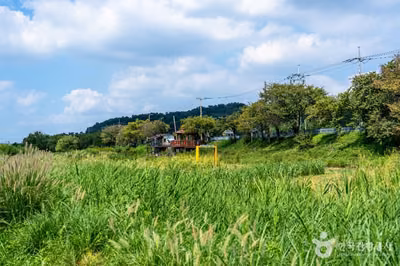 탄천민물고기습지생태원