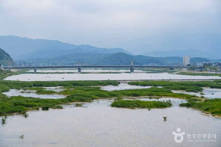남대천(양양)