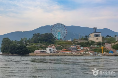 초양도