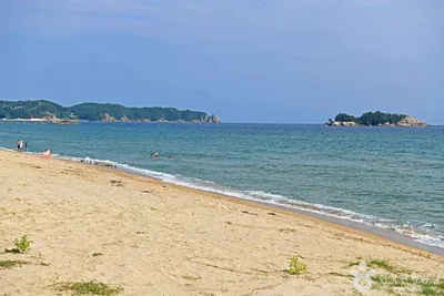 잔교리해변