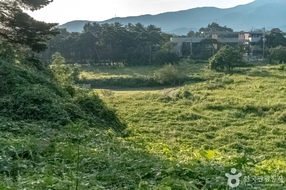 강릉 굴산사지