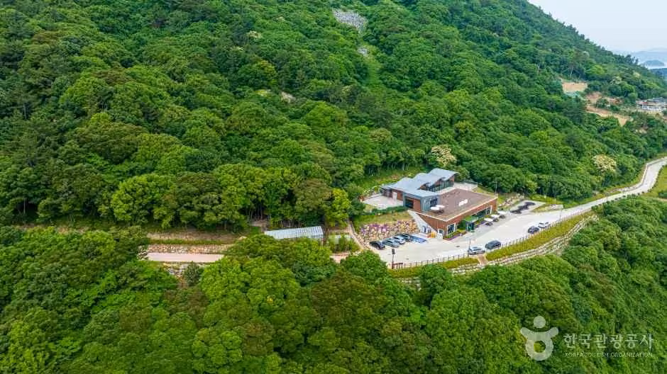 약산 해안 치유의 숲