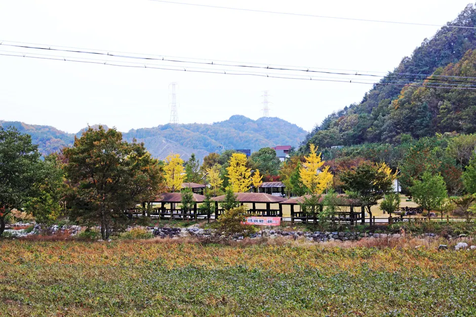 신대리마을