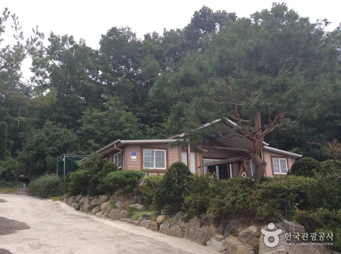 호수위의 하루
