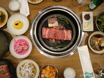 배꼽집