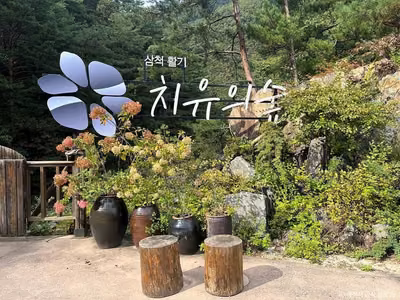 삼척 활기 치유의 숲