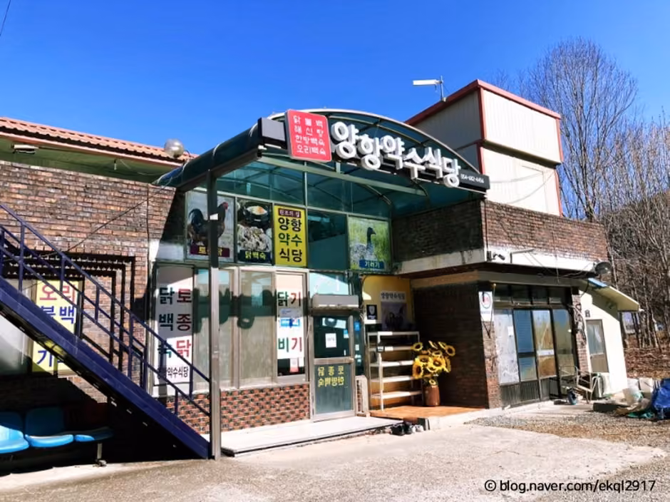 양항약수식당