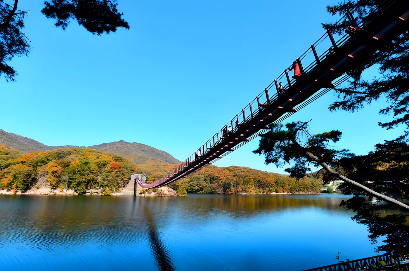 마장호수 출렁다리