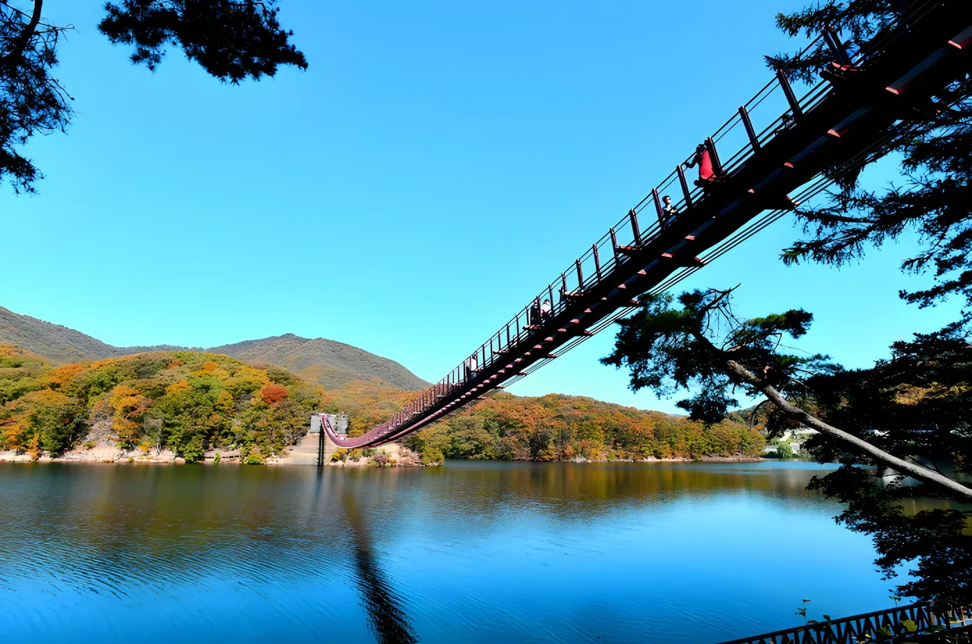 마장호수 출렁다리