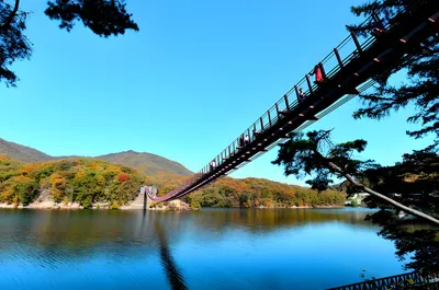 마장호수 출렁다리