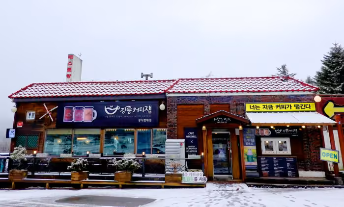 바람의언덕