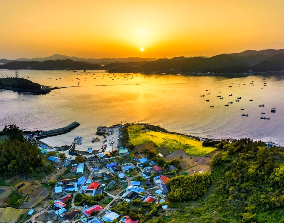 금호도