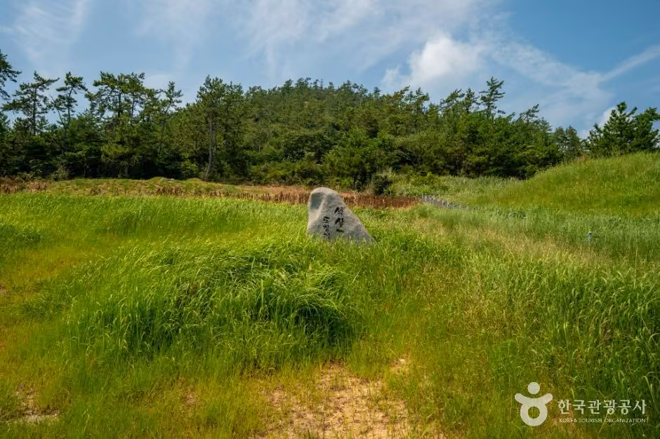 장산도