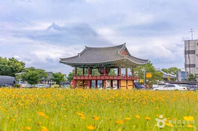 정수루