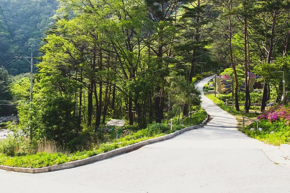 진동리 국민여가캠핑장