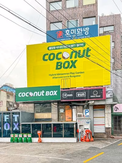 코코넛박스