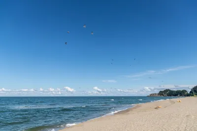 덕산해변