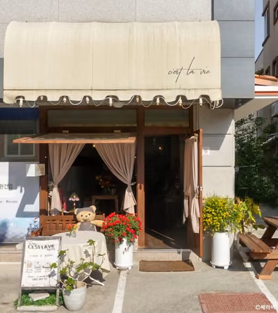쎄라비