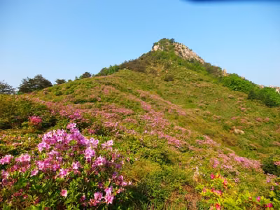 월여산