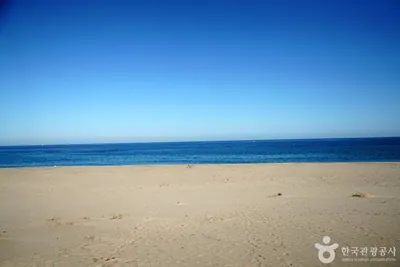 하맹방해변