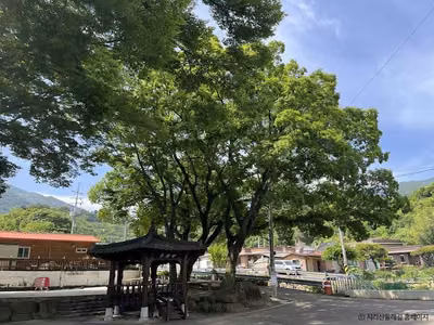 [지리산둘레길] 수철-성심원