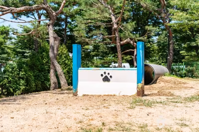 일산호수공원 반려견놀이터