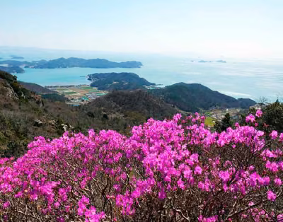 여귀산