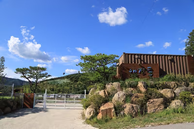 솔뜰캠핑장