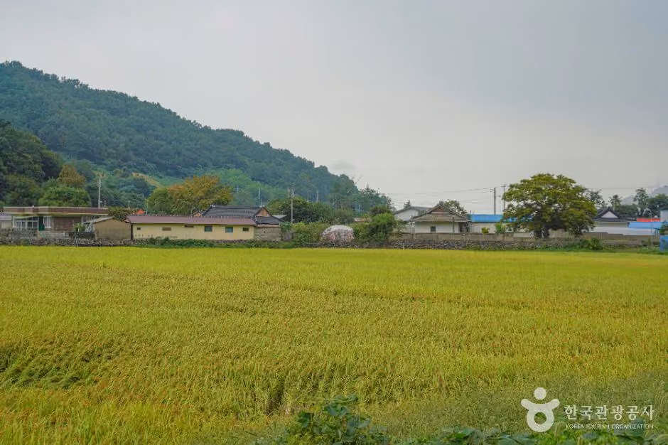 대초마을