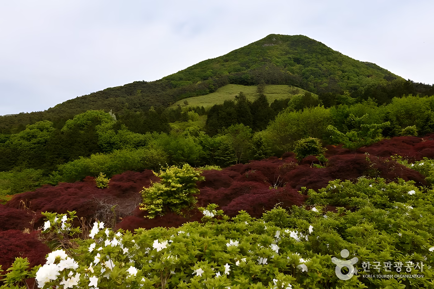 만연산