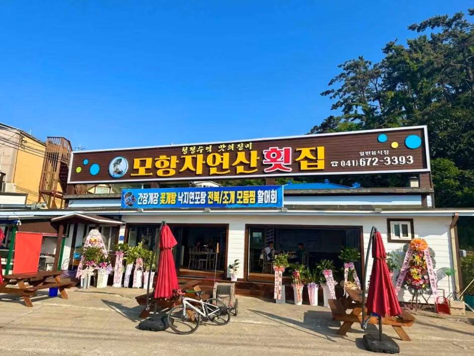 모항자연산횟집