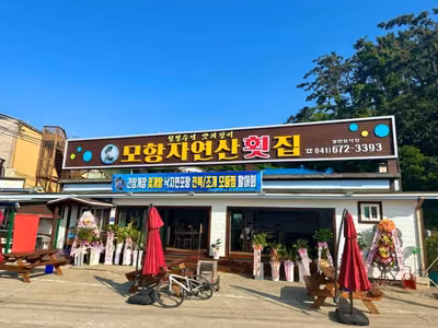 모항자연산횟집