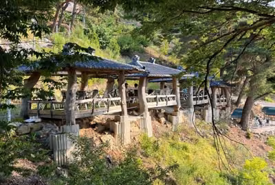 숲속아띠