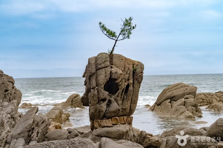 송지호해안 서낭바위 (강원평화지역 국가지질공원)