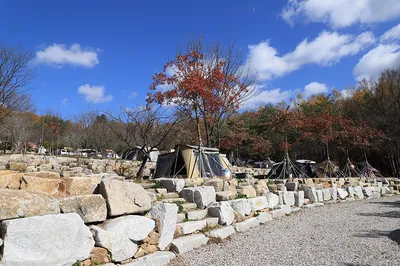 삼남매와뭉치네캠핑장