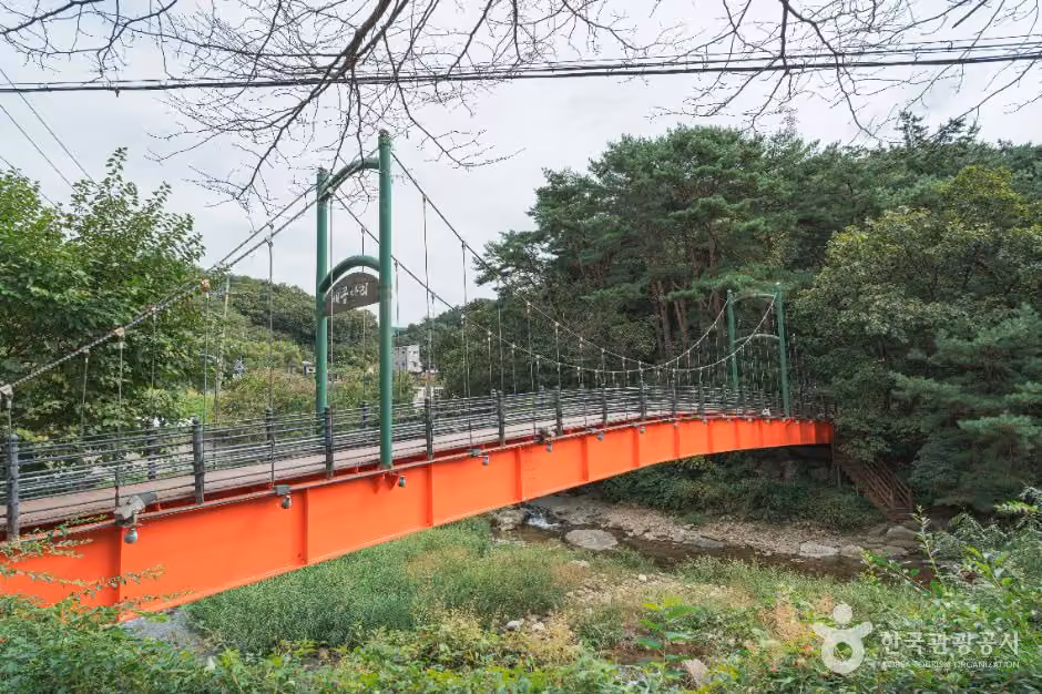 배꼽다리