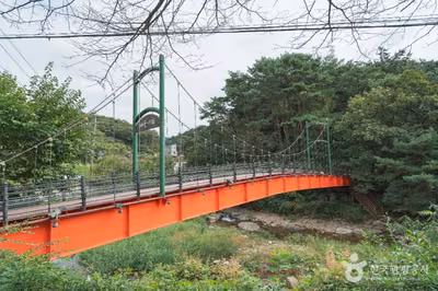 배꼽다리