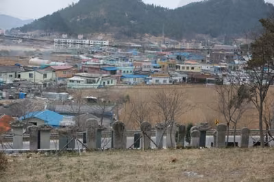 지도