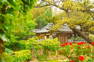 쌍산재