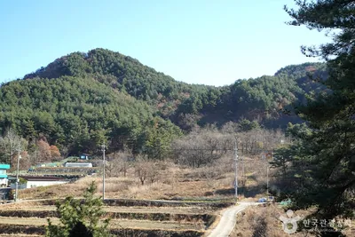 청대산