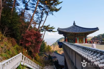 구인사(단양)