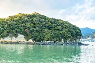주도
